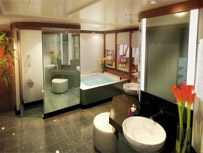 Deluxe Owner's Suite - Bathroom